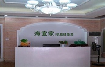 衡阳海宜家硅藻泥加盟店盛大开业