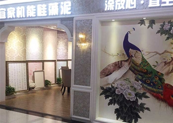 深圳旗舰店