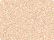 H1035