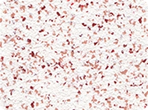 HCK95C