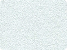 H1111