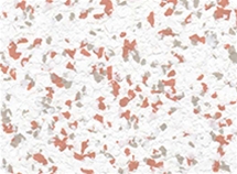 HM29C