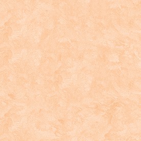 HT-037