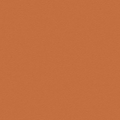 XY-005