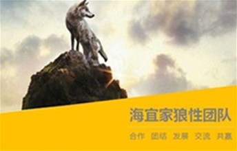 海宜家实战营销培训，打造狼性精英团队！